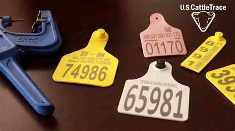 canada approved cattle rfid tags|rfid tags for cattle usda.